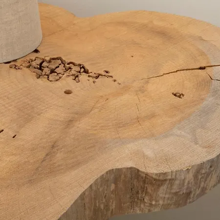 Cedros Nature House Sintra